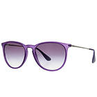 Ray-Ban RB4171 Erika Classic