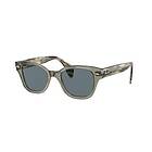 Ray-Ban RB0880S Polarized