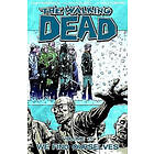 R Kirkman: The Walking Dead Volume 15: We Find Ourselves