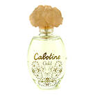 Parfums Gres Cabotine Gold edt 100ml