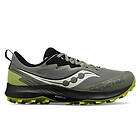 Saucony Peregrine 14 GTX (Women's)