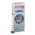 Bravecto Plus Spot-on Medium Cats 2.8-6.25kg