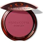 Guerlain Terracotta Blush 5g