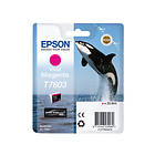 Epson T7603 (Vivid Magenta)