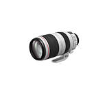 Canon EF 100-400/4.5-5.6 L IS II USM