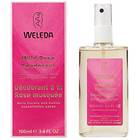 Weleda Wild Rose Deo Spray 50ml