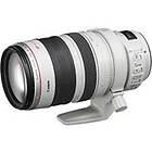 Canon EF 28-300/3.5-5.6 L IS USM