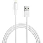 Apple MD818ZM/A USB A - Lightning 1m