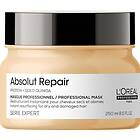 L'Oreal Serie Expert Absolut Repair Lipidium Mask 250ml