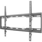 TV & Monitor Mounts