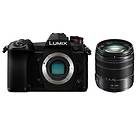 Panasonic Lumix DC-G9 + 14-140/3.5-5.6 OIS