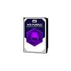 WD Purple WD101PURZ 256MB 10TB