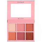 Sigma Beauty Blush Palette