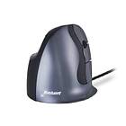 Evoluent Vertical Mouse D Large (Right)