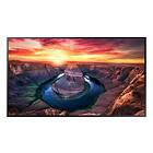 Samsung QM43B 43" 4K UHD