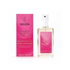 Weleda Wild Rose Deo Spray 100ml