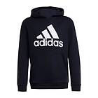 Adidas Big Logo Jr Hoodie