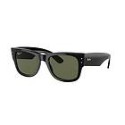 Ray-Ban Wayfarer RB0840S 