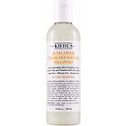 Kiehl's Sunflower Color Preserving Shampoo 250ml