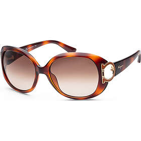 Salvatore Ferragamo SF668S 57 238 Fashion Sunglasses