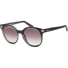 Salvatore Ferragamo SF833S 53 5319001 Fashion Sunglasses