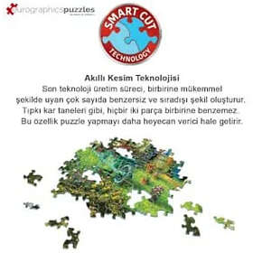 Eurographics Home Tweet Home 1000 Pieces