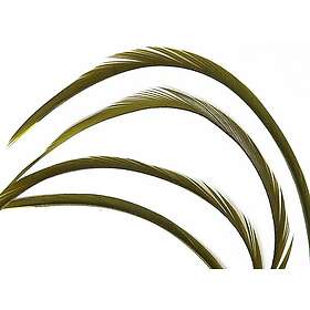 Wapsi Goose Biots Light Olive