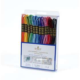 DMC Mouliné Broderigarn Paket Variegated 12 Färger