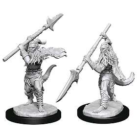 Nolzur's Miniatures Marvelous (unpainted): Bearded Devils