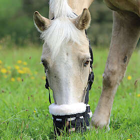 Shires Gräsreducerare Deluxe Comfort Grazing Muzzle (Storlek: Pony)