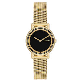 Skagen Signatur Lille SKW3111