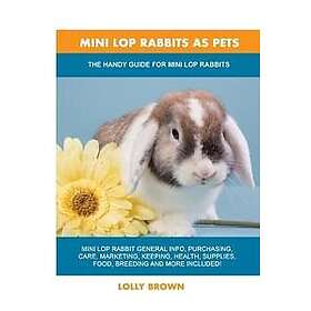 MINI Lop Rabbits as Pets