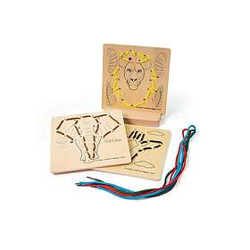 Bigjigs Jungle by Numbers 8 Pieces