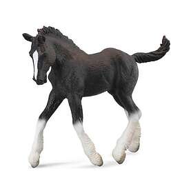 Collecta Horse Foal Shire Breed Black (88583)