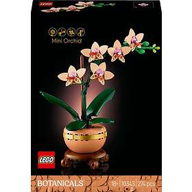 LEGO Botanical Collection 10343 Miniorkidé