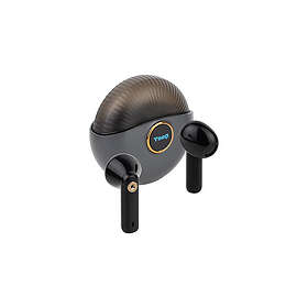 Tooq Snail