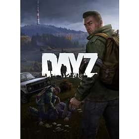 DayZ at the best price