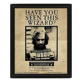 Pyramid Harry Potter (Potter Sirius)