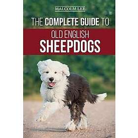 The Complete Guide to Old English Sheepdogs