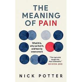 The Meaning of Pain A radical new approach to overcoming chronic pain