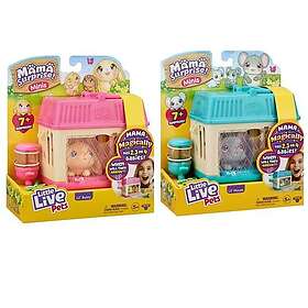 Little Live Pets Mama Surprise Minis 26511