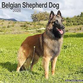 Avonside Publishing Ltd Belgian Shepherd Dog Calendar 2026