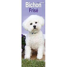 Avonside Publishing Ltd Bichon Frise Slim Calendar 2026