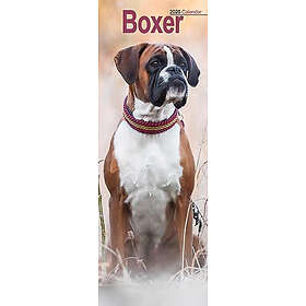 Avonside Publishing Ltd Boxer Slim Calendar 2026