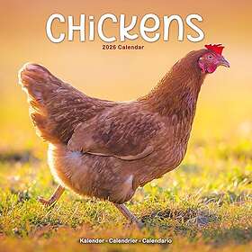 Avonside Publishing Ltd Chickens Wall Calendar 2026 30x30cm