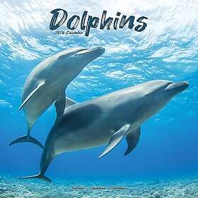 Avonside Publishing Ltd Dolphins Wall Calendar 2026 30x30cm