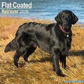 Avonside Publishing Ltd Flatcoated Retriever Wall Calendar 2026