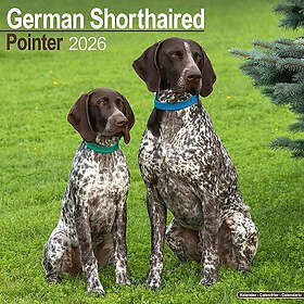 Avonside Publishing Ltd German Shorthair Pointer Wall Calendar 2026