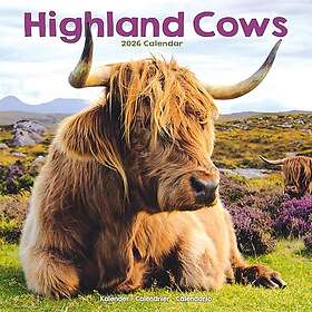 Avonside Publishing Ltd Highland Cows Calendar 2026 30x30cm