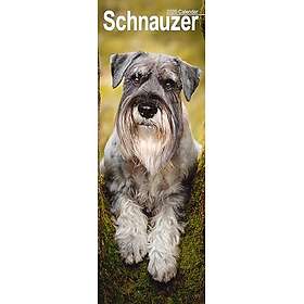 Avonside Publishing Ltd Schnauzer Slim Slim Calendar 2026